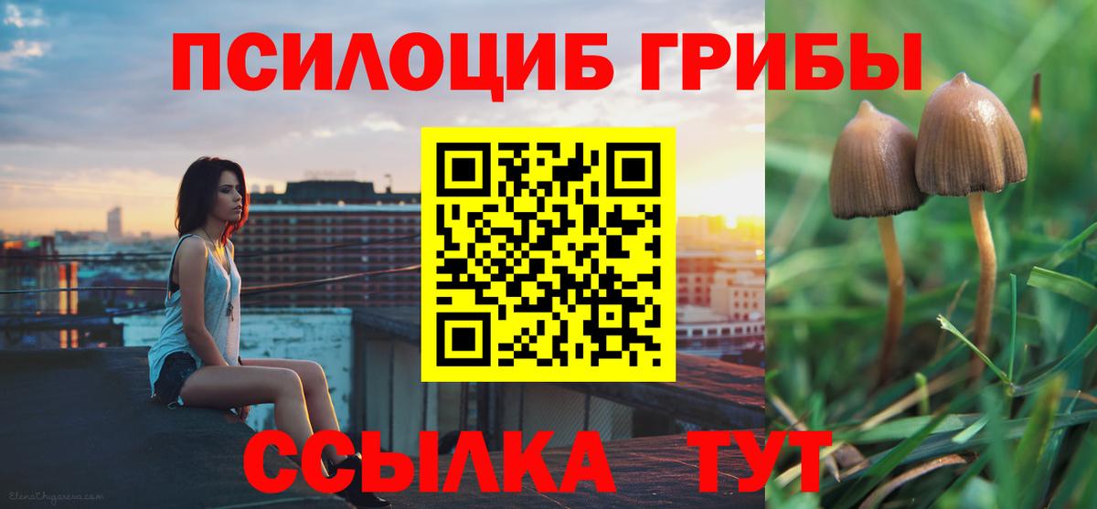 Псилоцибиновые грибы Psilocybine cubensis  Вход с VPN  Галлюциногенные грибы Magic Shrooms  Магадан 