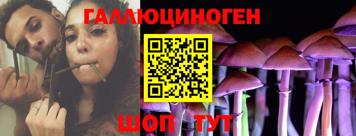 Псилоцибиновые грибы Magic Shrooms Магадан