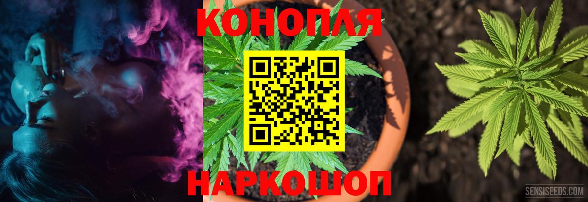 Конопля семена  Вход с VPN  Каннабис конопля  Магадан 